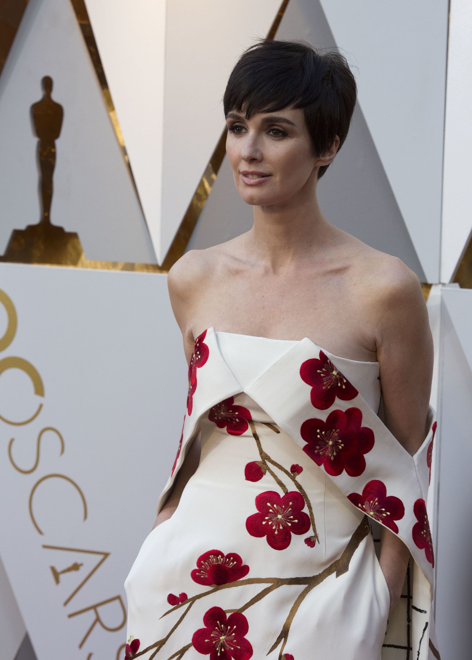 La alfombra roja de los Oscar, en imágenes