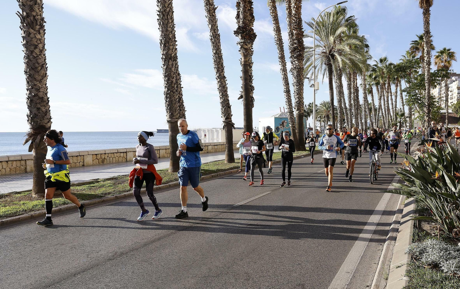 Las fotos del Maratón de Málaga 2019
