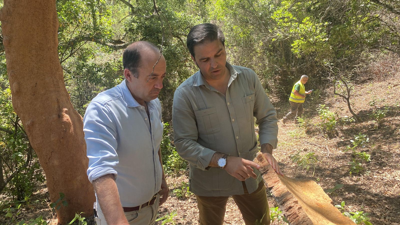 El delegado territorial de Sostenibilidad, Medio Ambiente y Economía Azul, Pedro Yórquez, supervisando el descoche de Aroche.