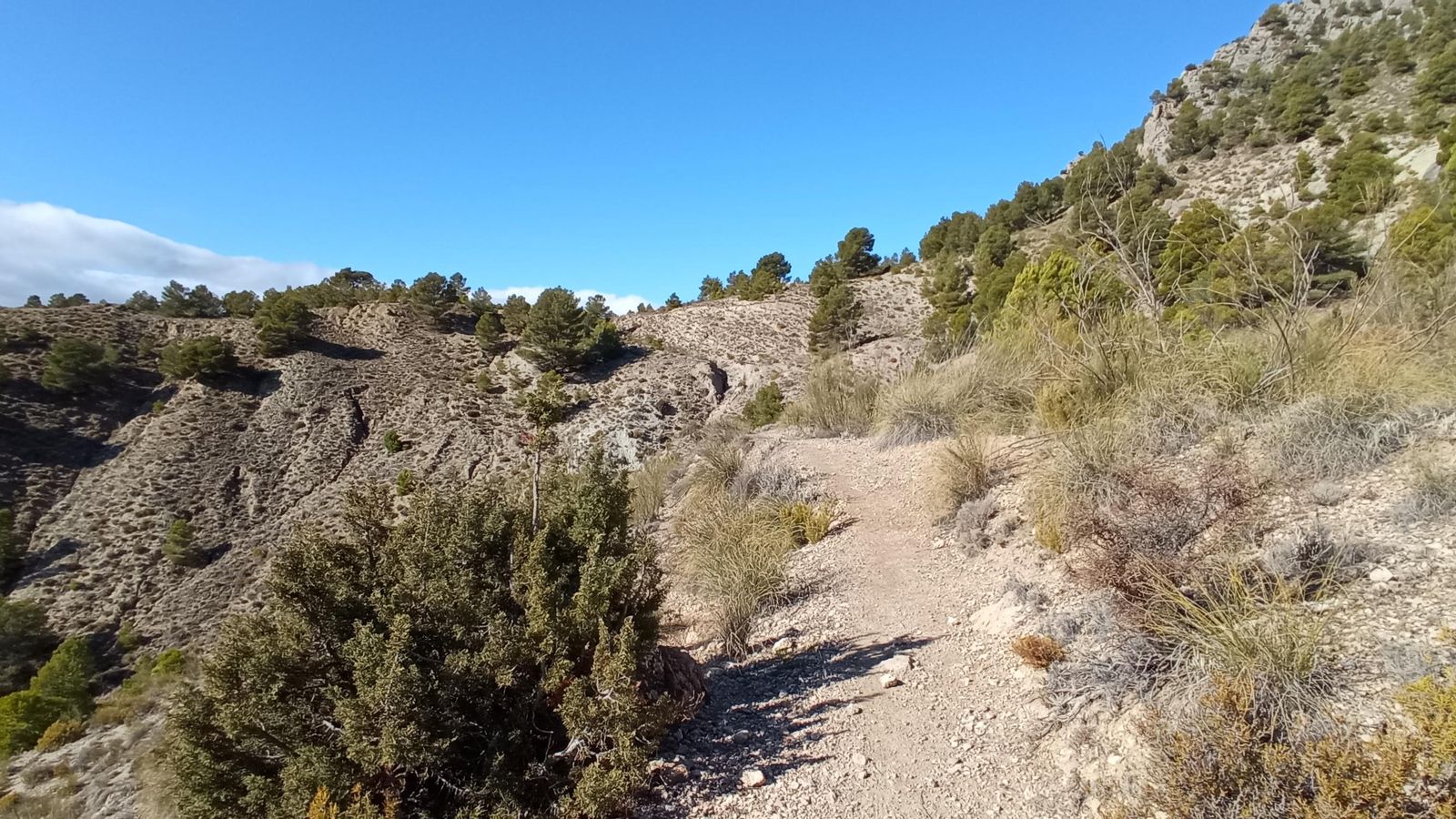 Comienzo de la subida