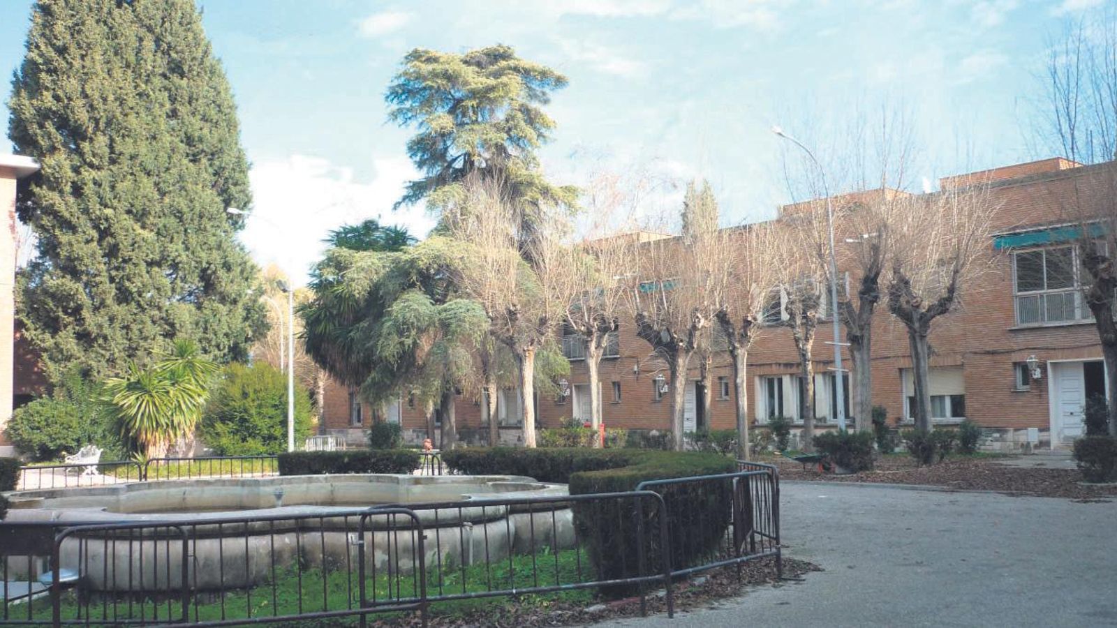 Arbolado en el acceso a la fábrica de Altadis.