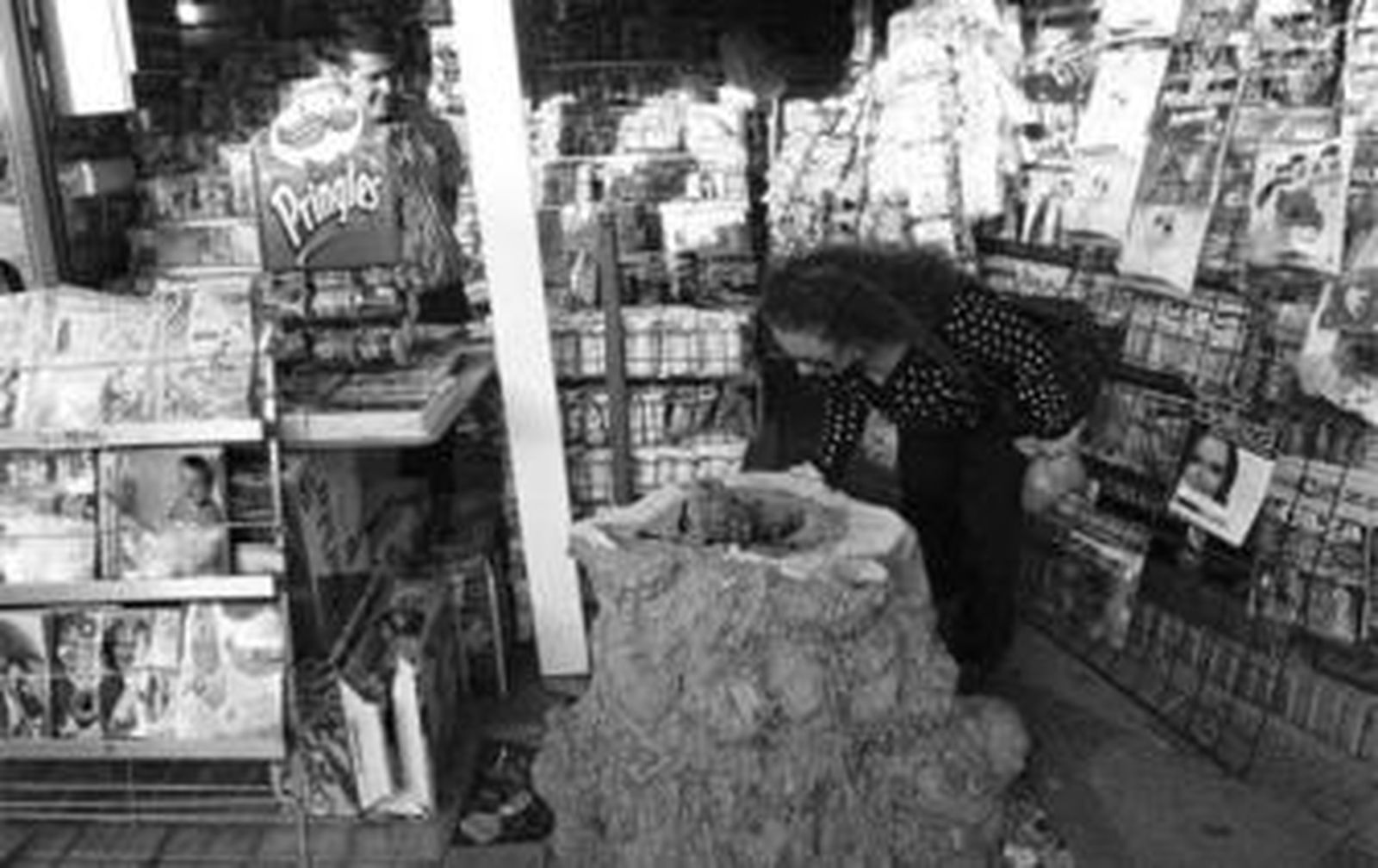 Una mujer mira los restos del arce tras ser cortado a las cinco de la mañana de ayer por operarios municipales.