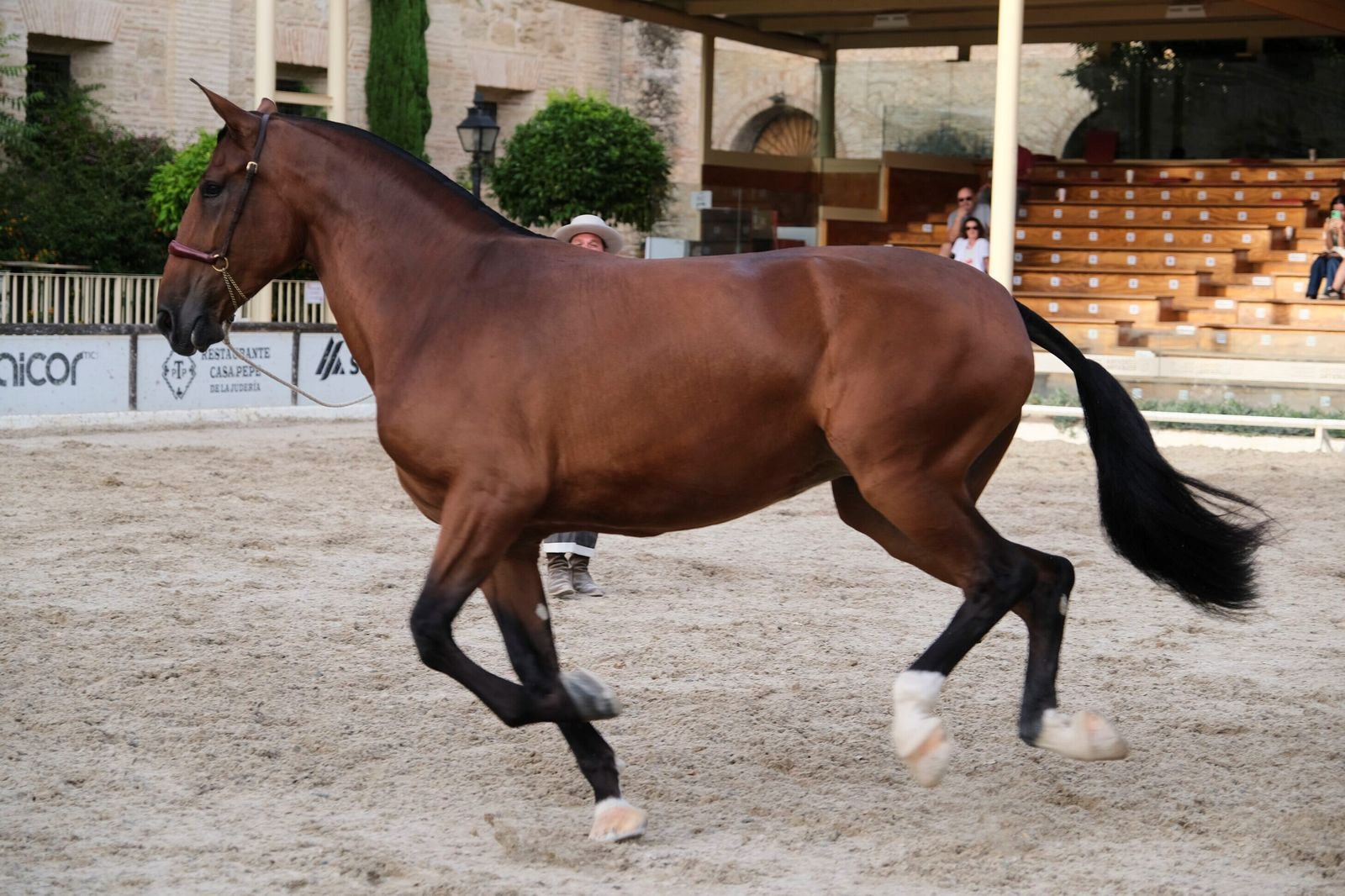 La Feria del Caballo de Córdoba (Cabalcor) 2023, en imágenes.