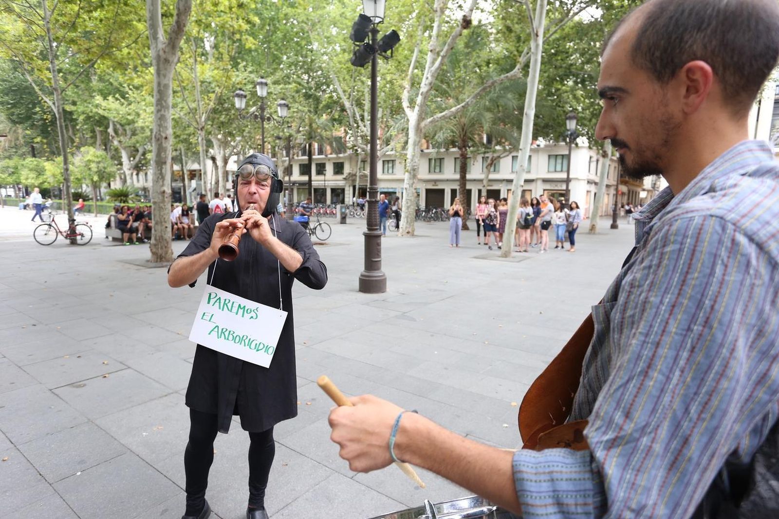 Protesta en la Plaza Nueva contra la tala de árboles