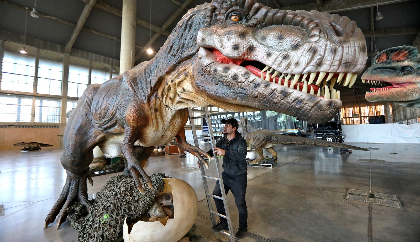 Imágenes del montaje de la mayor exposición de dinosaurios animatrónicos