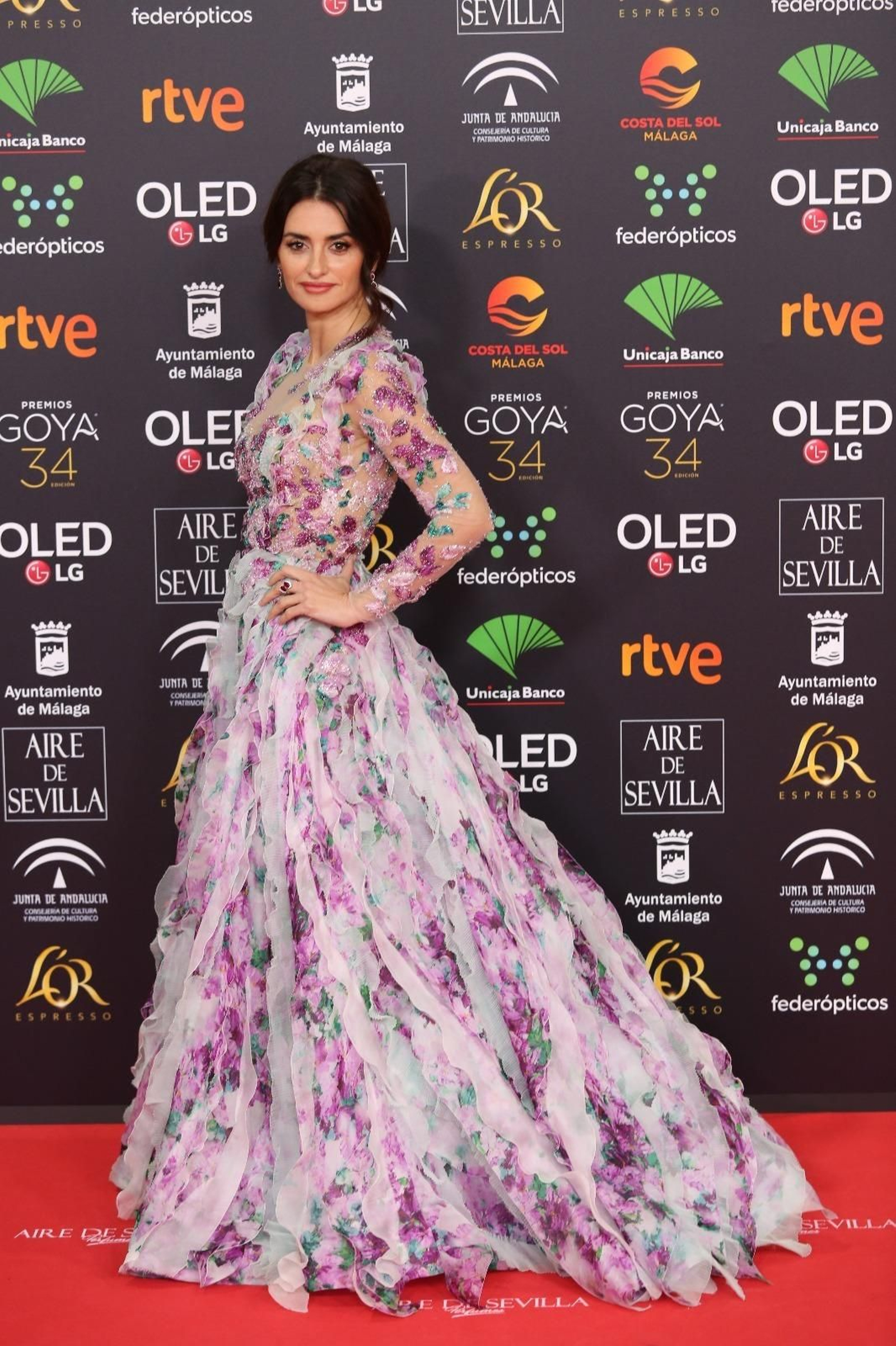 La alfombra roja de los Goya 2020 en Málaga