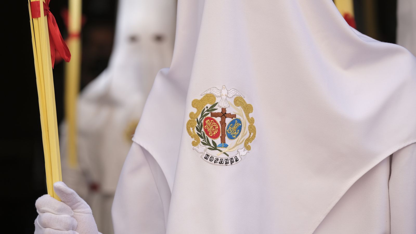 Fotogalería de la procesión de La Borriquita en Almería. Semana Santa 2022.