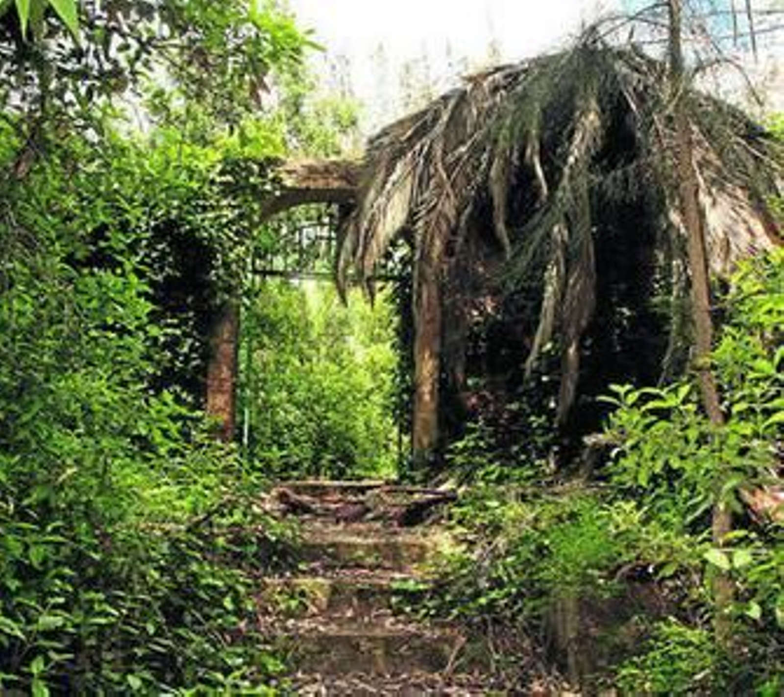 La maleza invade el mítico cementerio británico de la localidad minera.