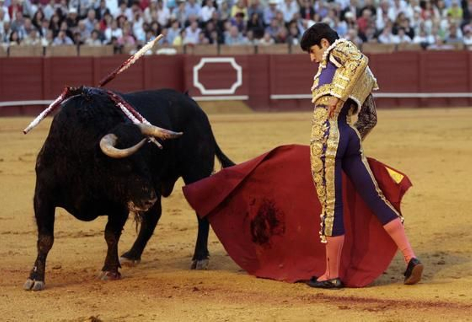 Talavante cierra la decimotercera tarde en la Maestranza.

Foto: Juan Carlos Muñoz