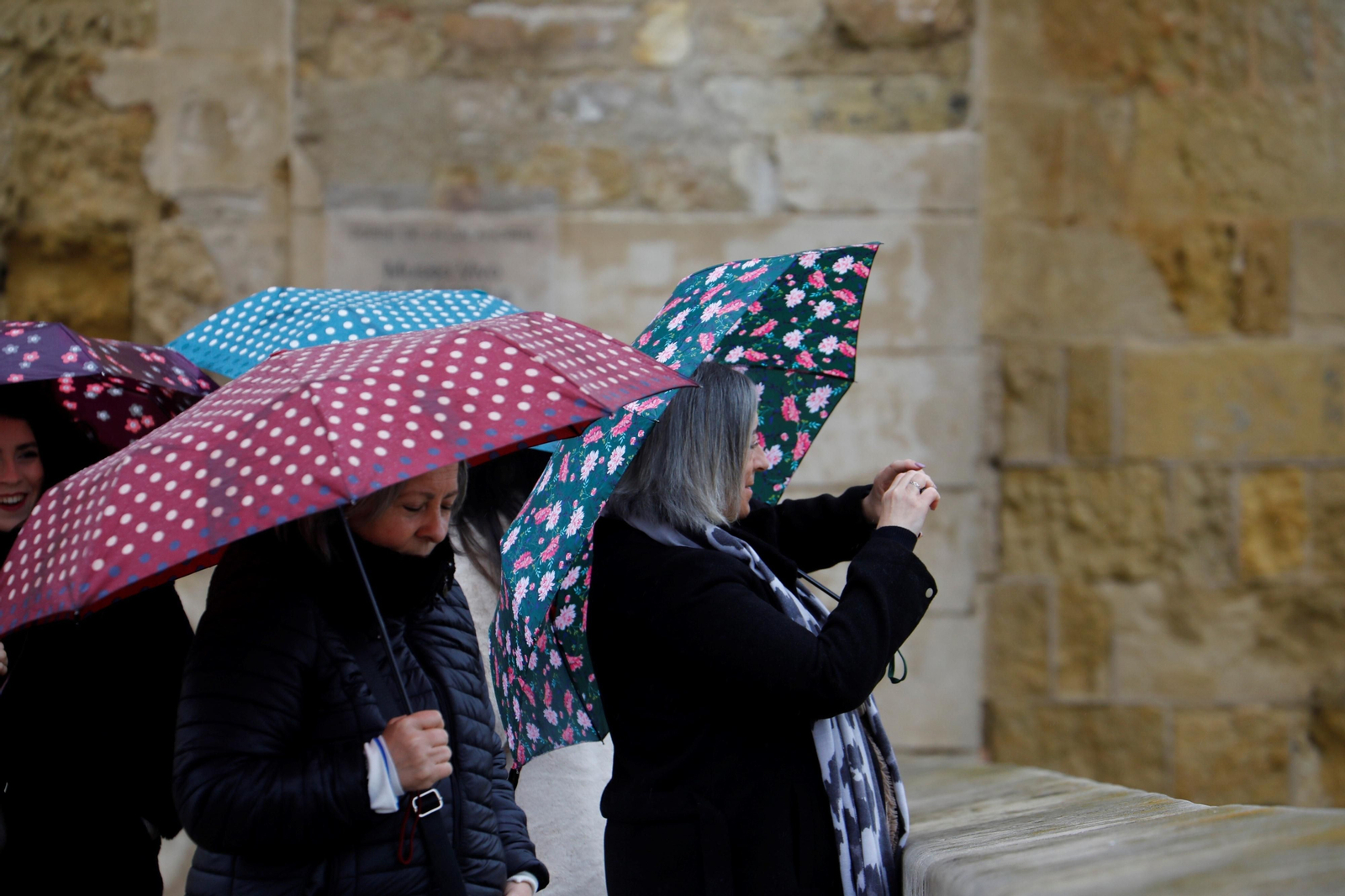 El paso del temporal por Córdoba, en imágenes