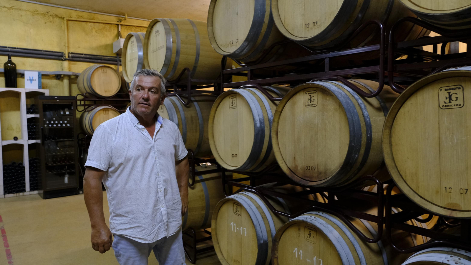 Llega la vendimia a las Bodegas Perfer, en Uleila del Campo