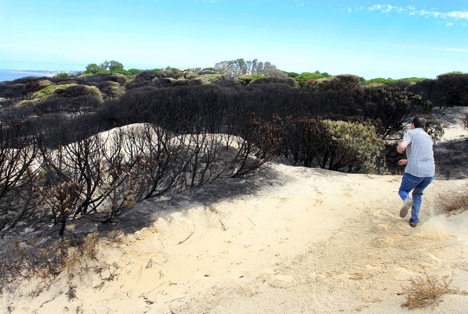 Imágenes de las consecuencias del incendio de Moguer