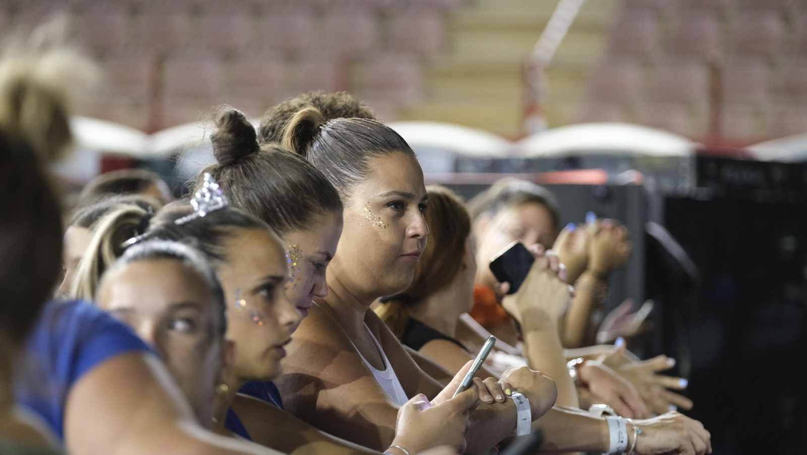 David Bisbal arrasa en su concierto de Roquetas de Mar