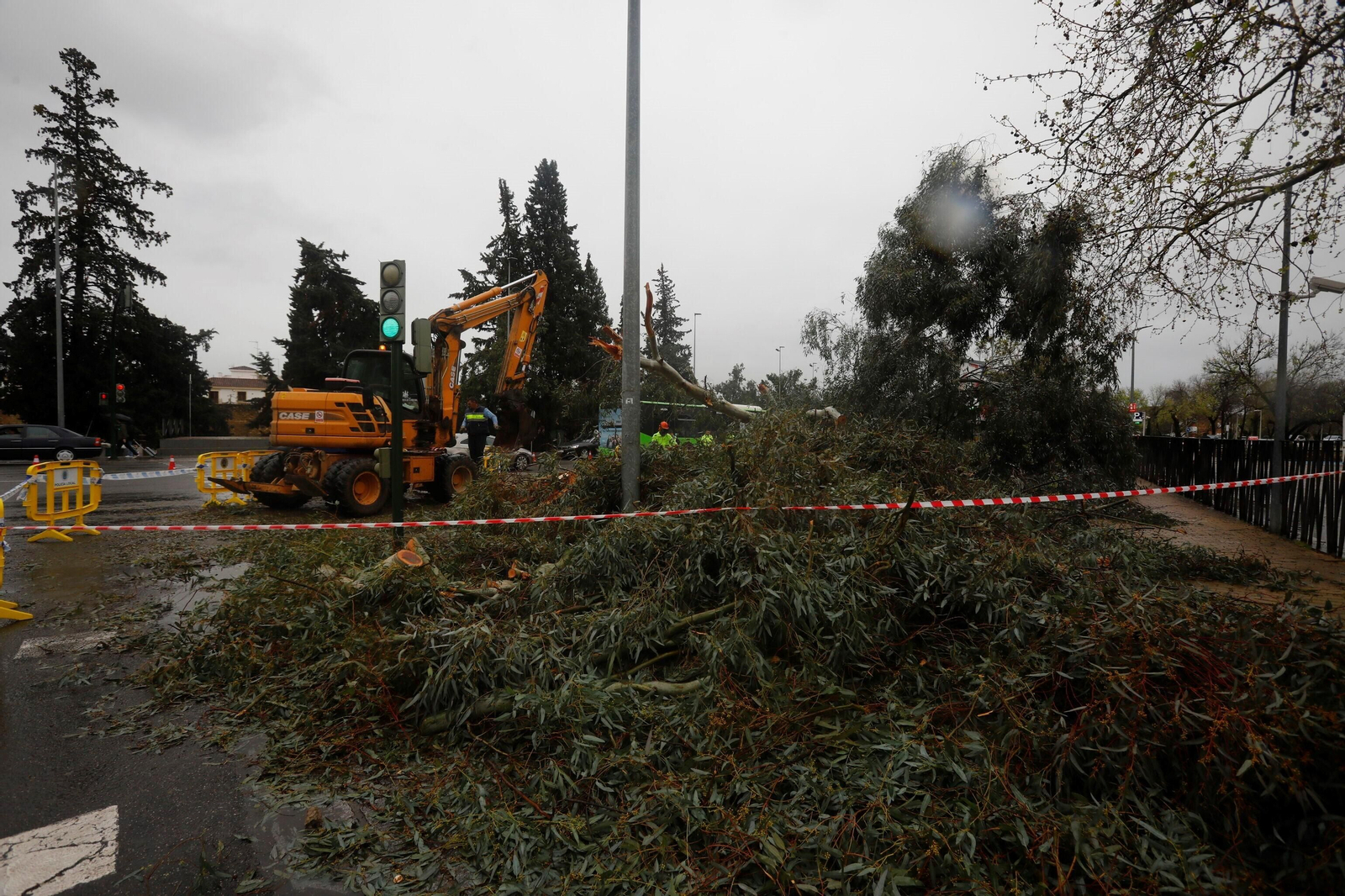 Los daños del último temporal que ha pasado por Córdoba, en imágenes