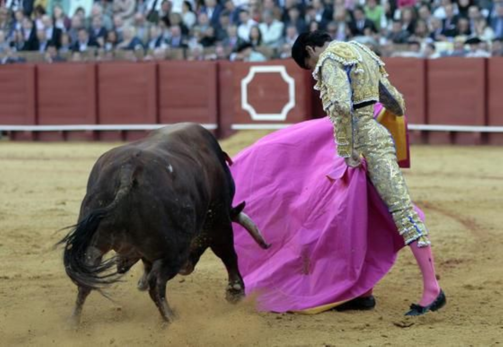 Foto: Juan Carlos Muñoz