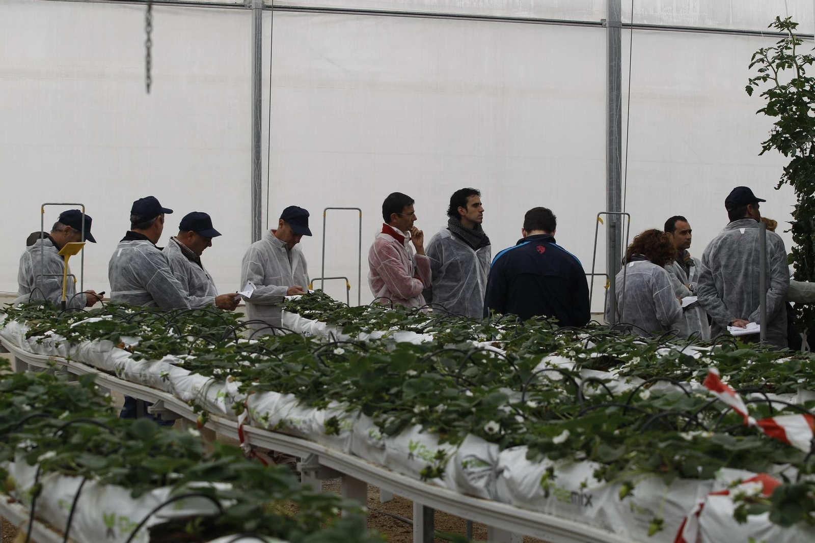 El riego usa sistemas de precisión.