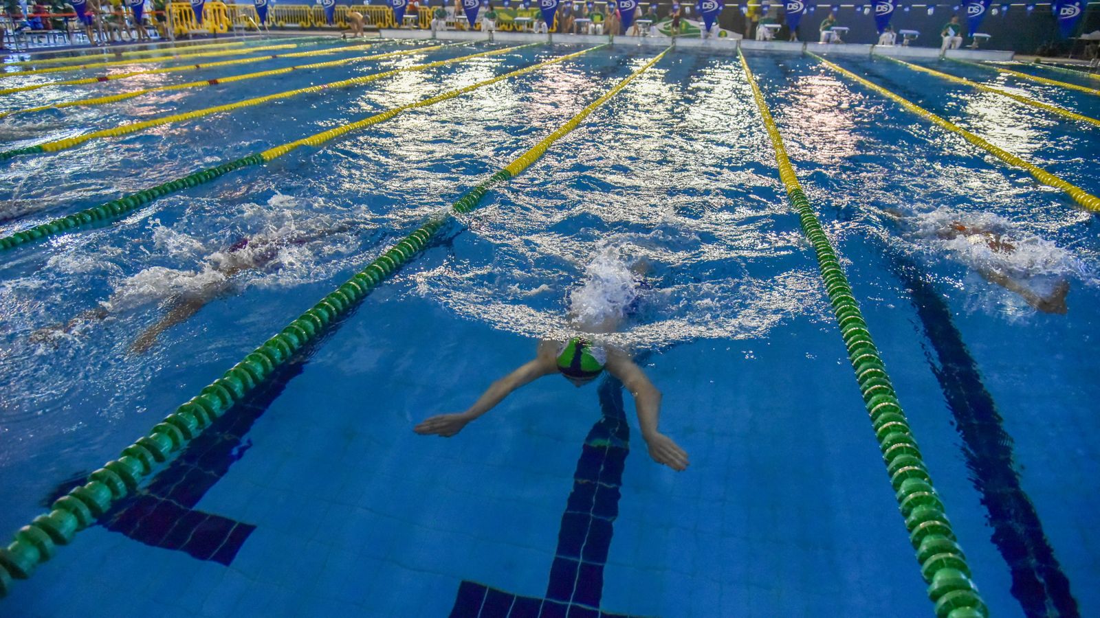 Las fotos de la primera jornada del IV Trofeo Natación ‘Villa de Los Barrios’