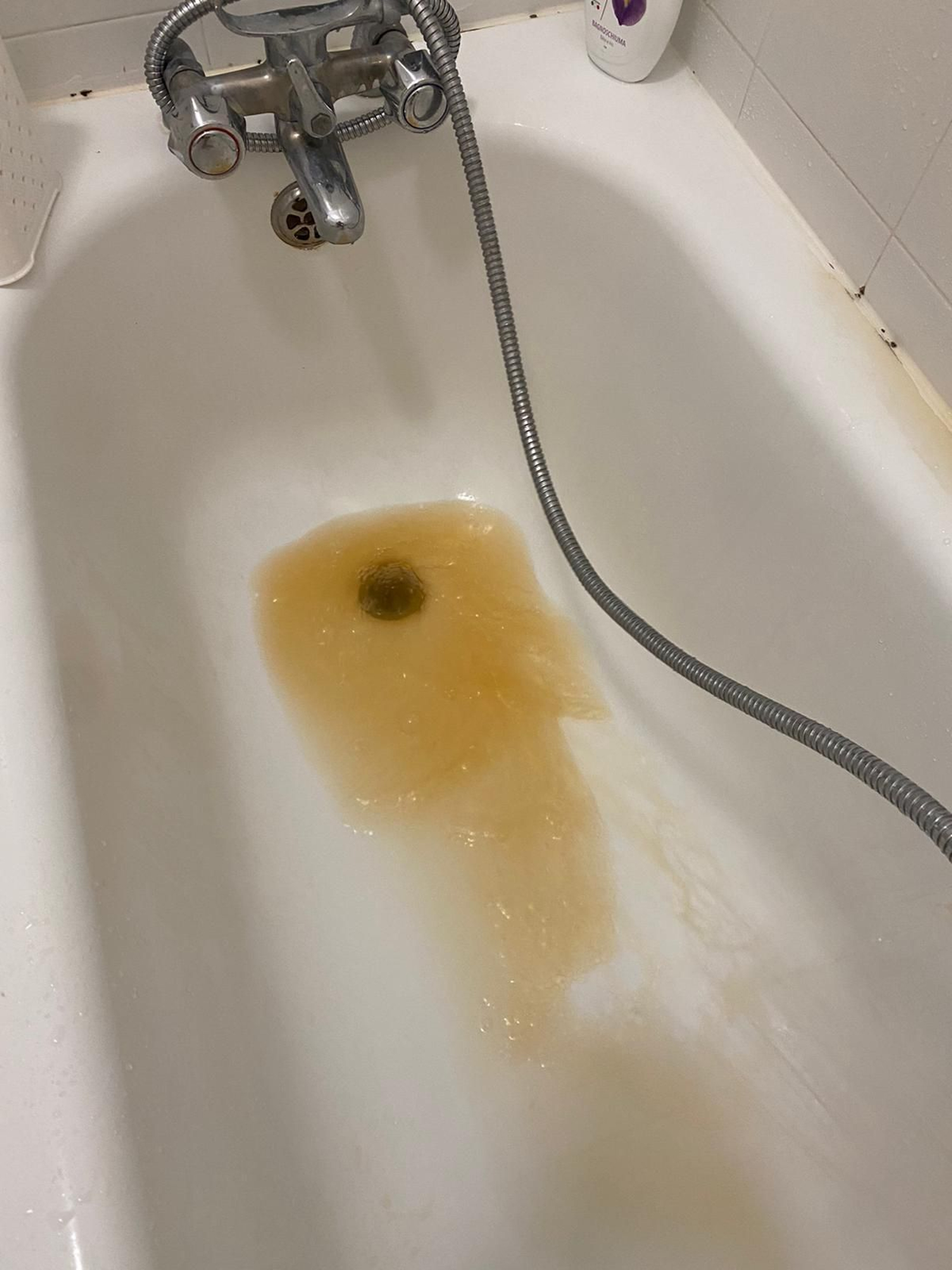 Color del agua que sale de la ducha.