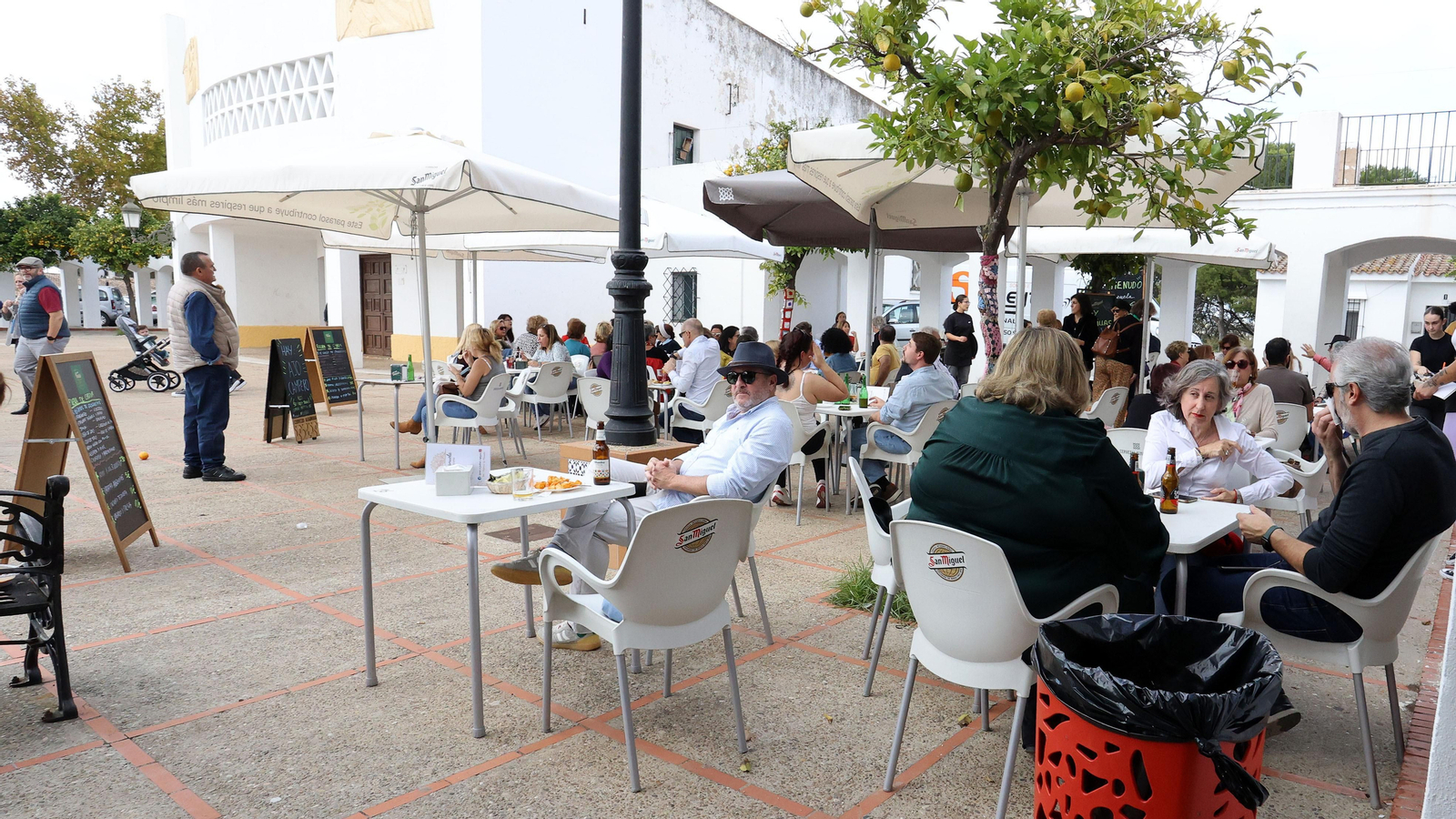 Estella celebra con éxito el II Día del ajo campero y del mosto