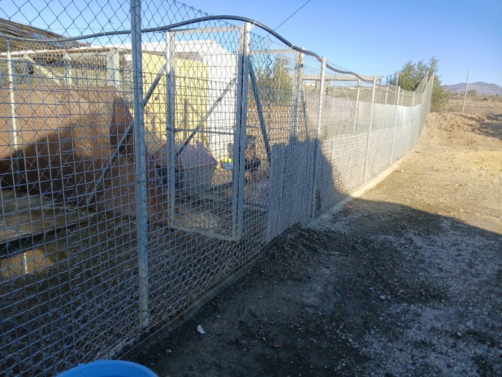 Vallado de las instalaciones de la protectora reforzado.