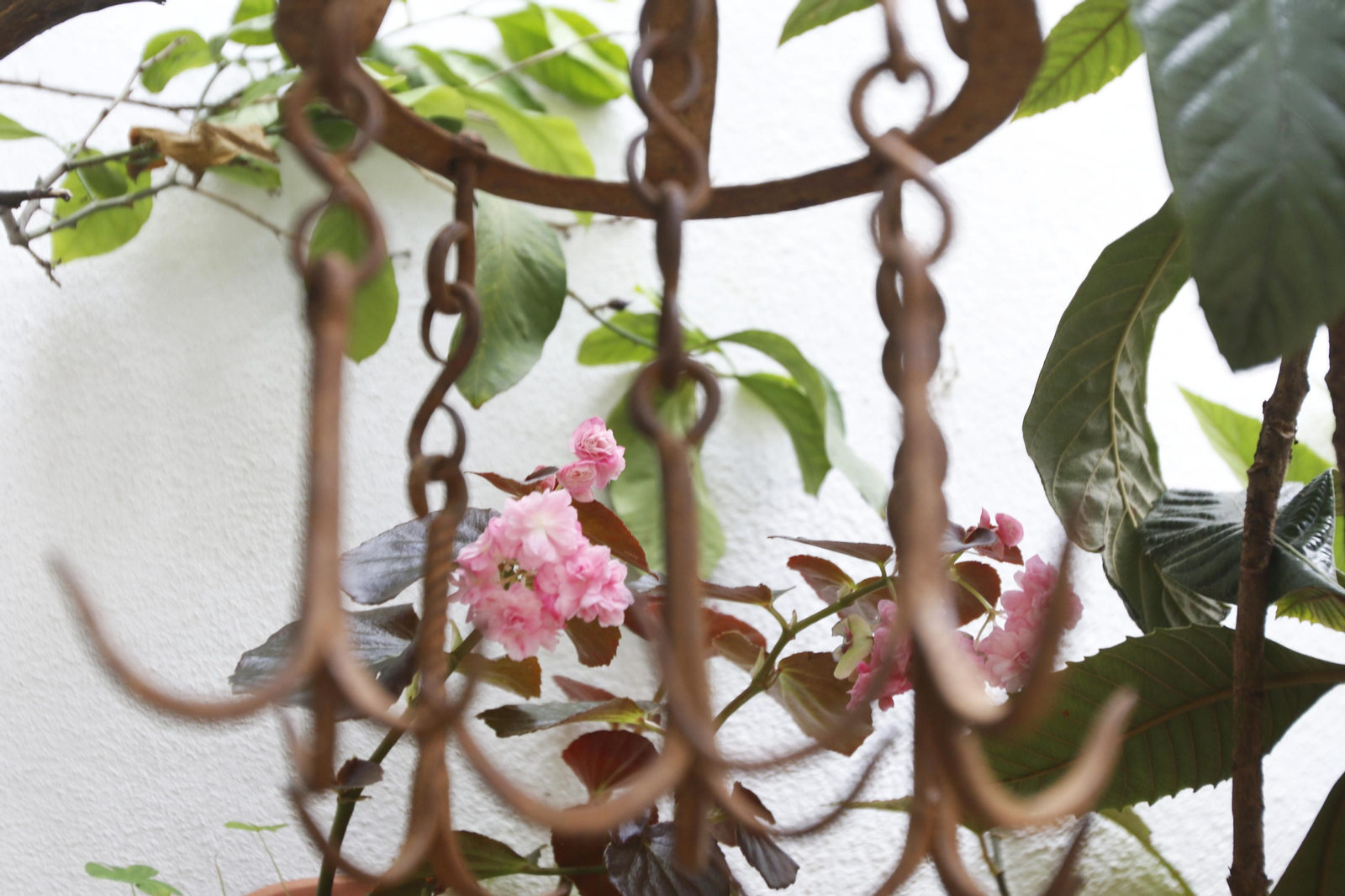 Los Patios de Córdoba en tiempos de crisis: Pedro Fernández, 6