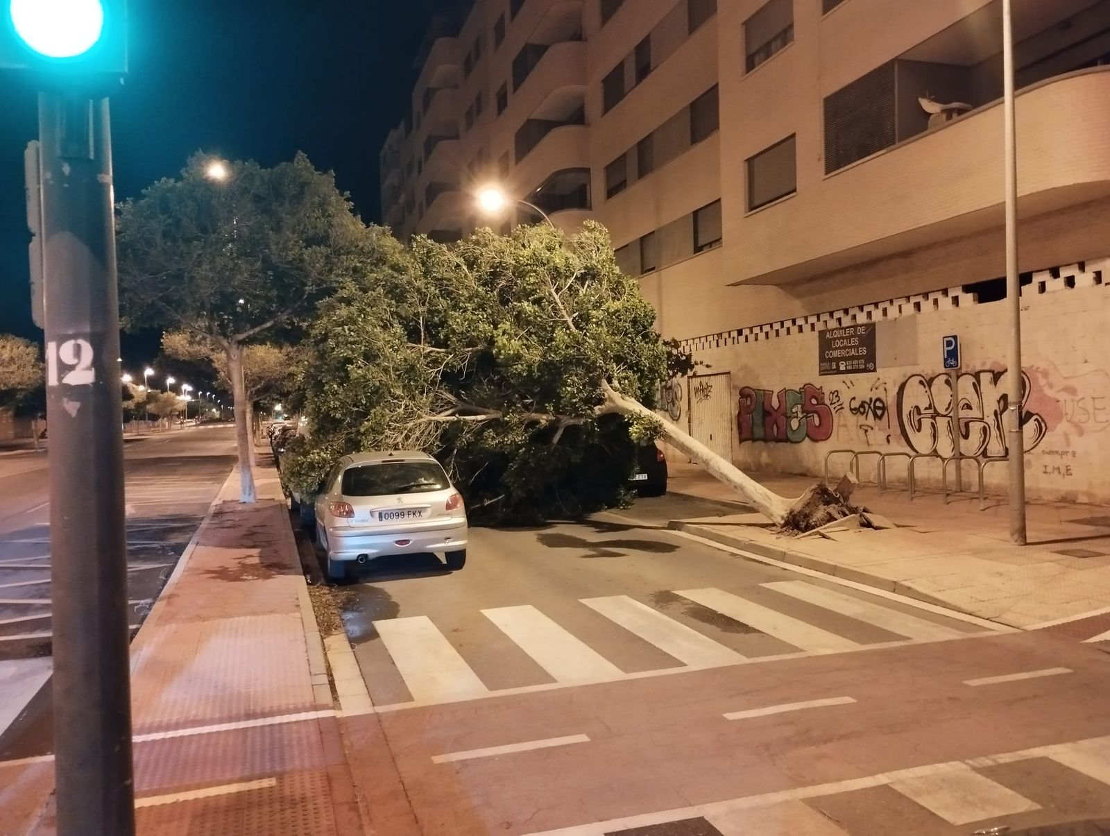 Árbol caído en la calle Miguel Pérez Company de Almería.