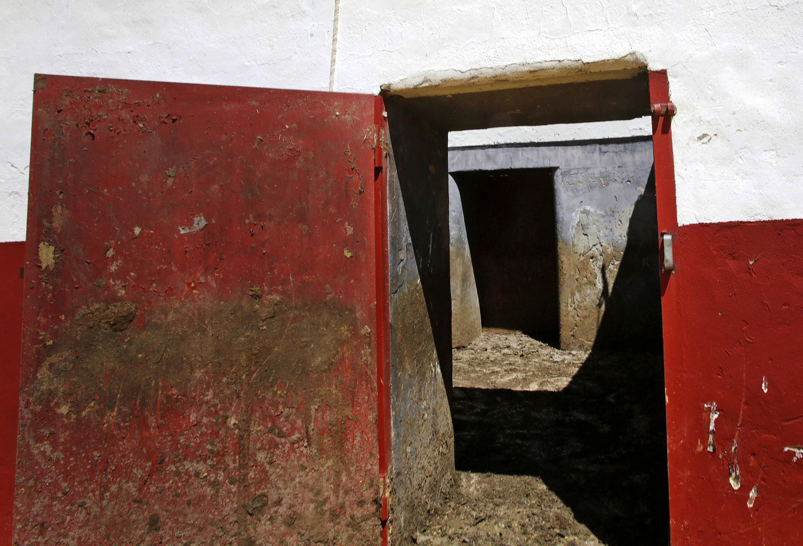 Mas cornadas da el virus, visita a la ganadería de Nuñez La Palmosilla