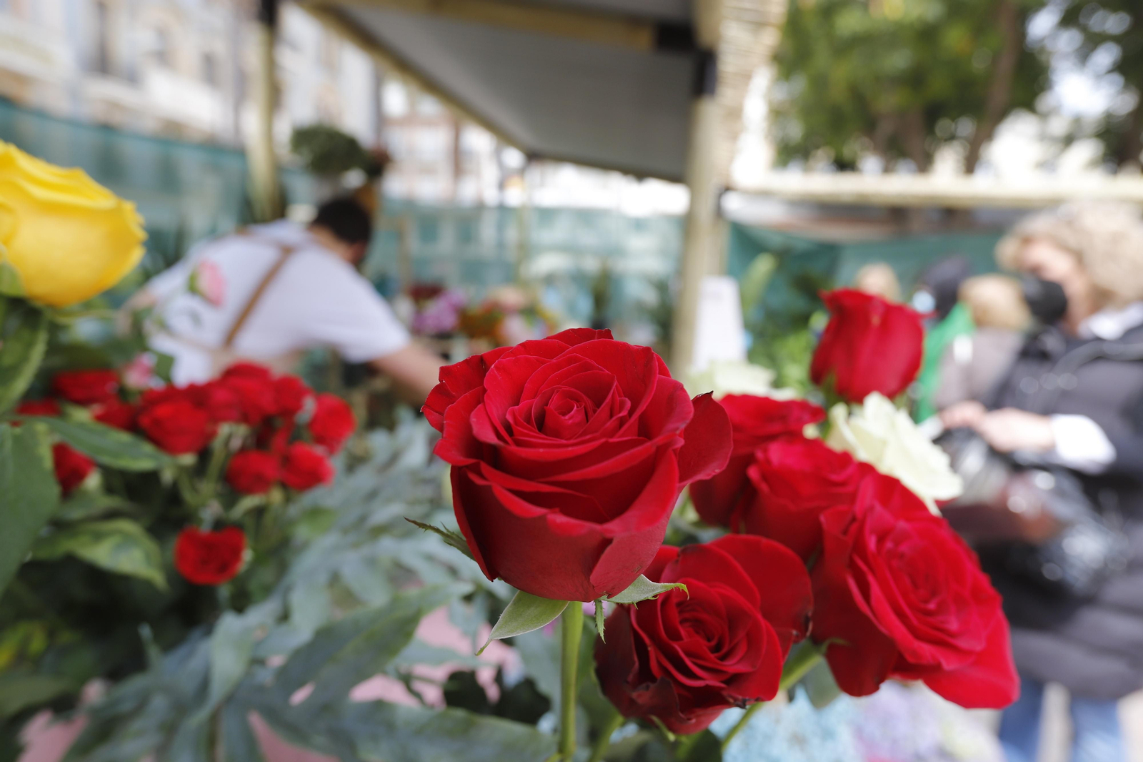 Imágenes del 'V Mercado de Flores y Plantas de Huelva' en la Plaza de Las Monjas