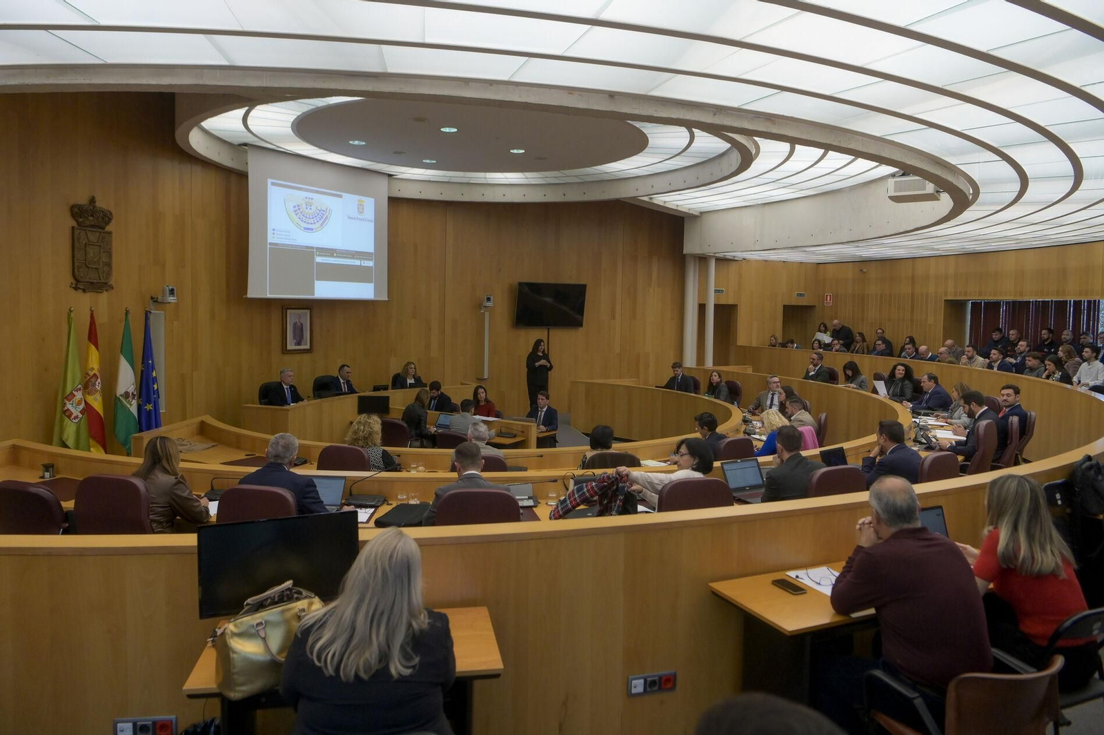 Pleno de Diputación