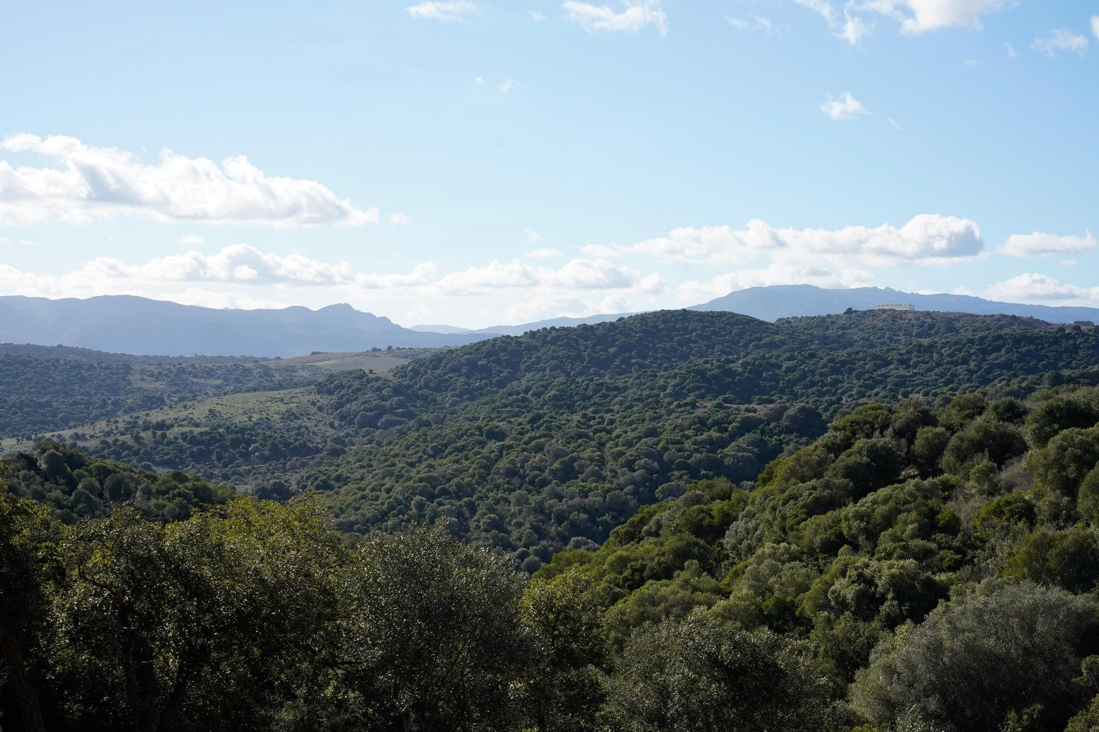 Las fotos de la inauguración de los parques eólicos El Padrón y Cerro Cabello de Los Barrios