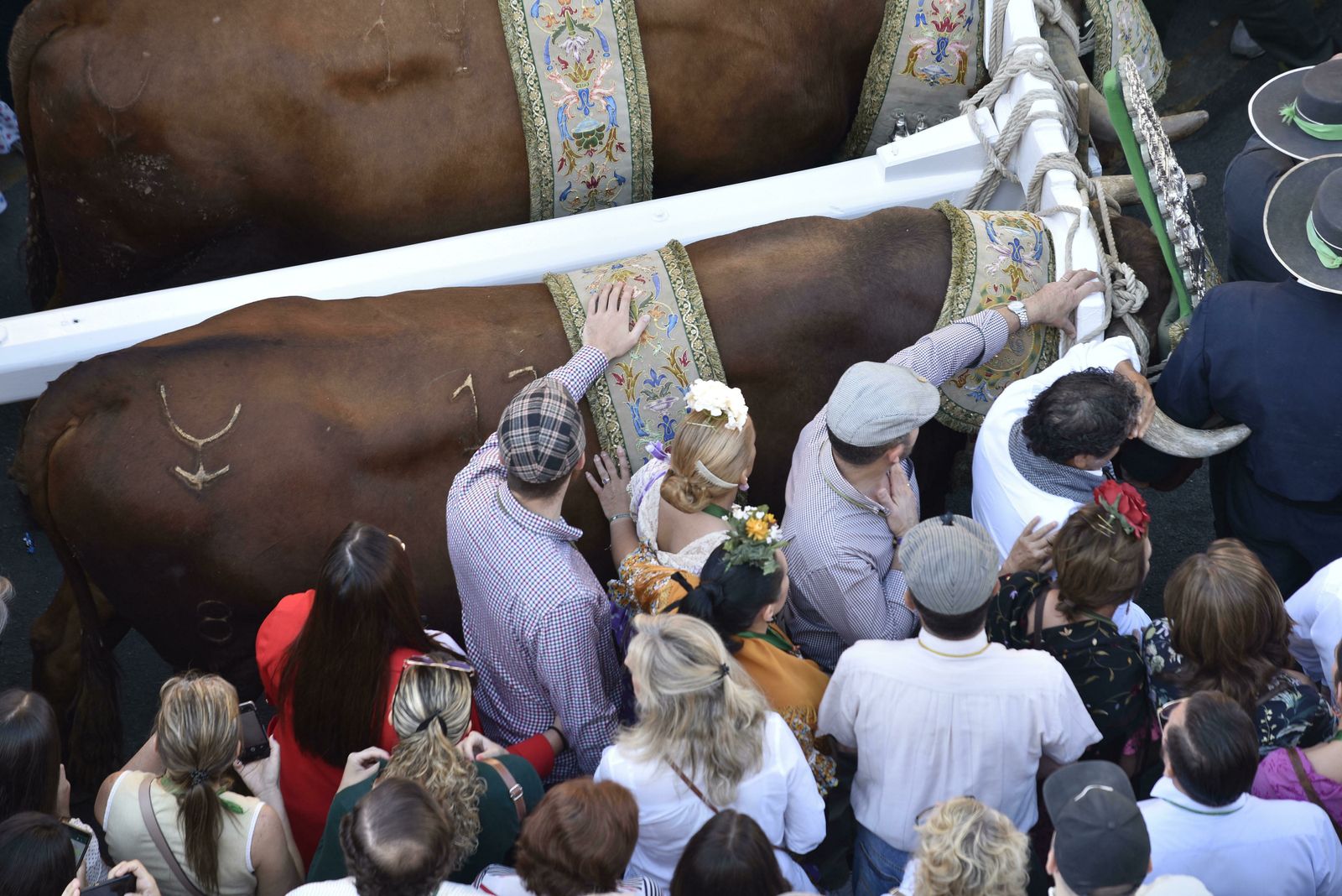 La salida de la Hermandad del Rocío de Triana, en imágenes