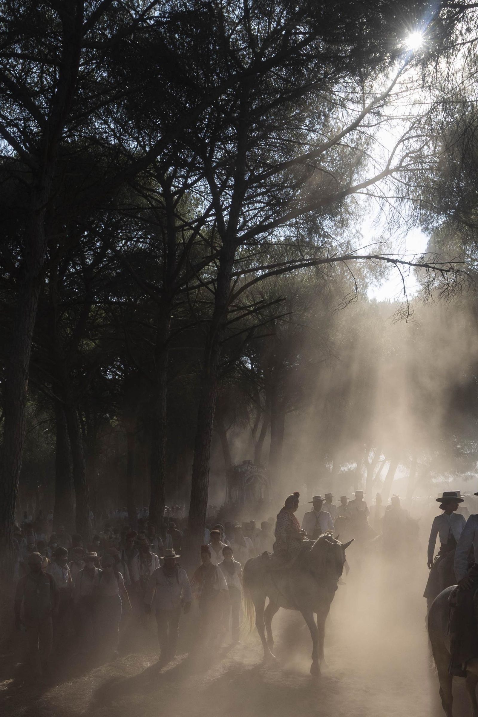 Las mejores imágenes de la Hermandad del Rocío de Huelva