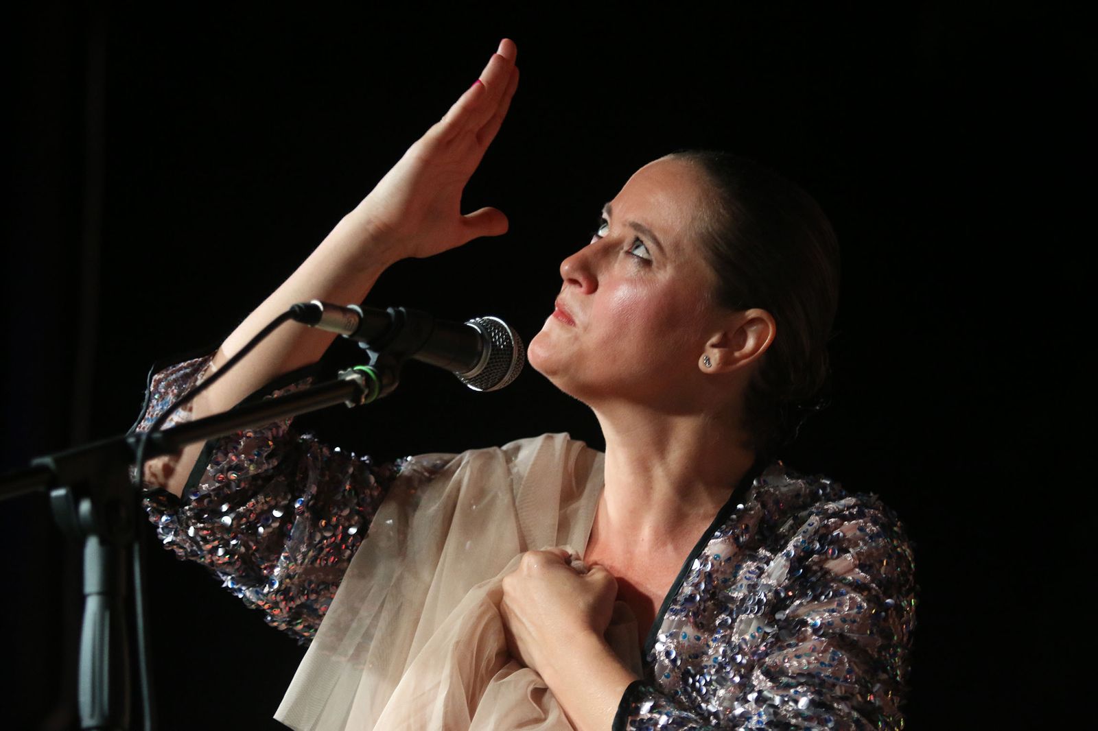 El XXXI Festival Flamenco de Fondón, en imágenes