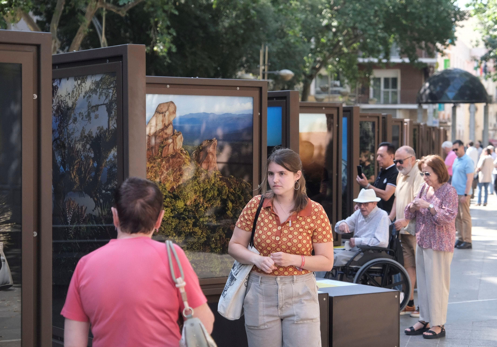 La exposición de 'National Geographic' en el bulevar del Gran Capitán de Córdoba, en imágenes