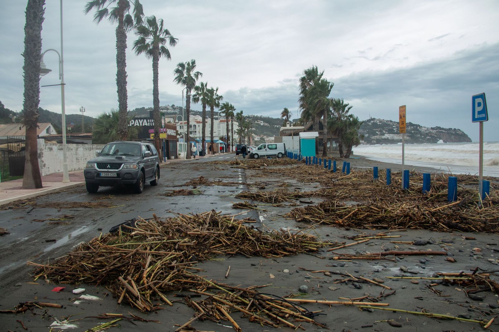 Las cañaveras, arena y piedras se hacen con parte del paseo marítimo de La Herradura