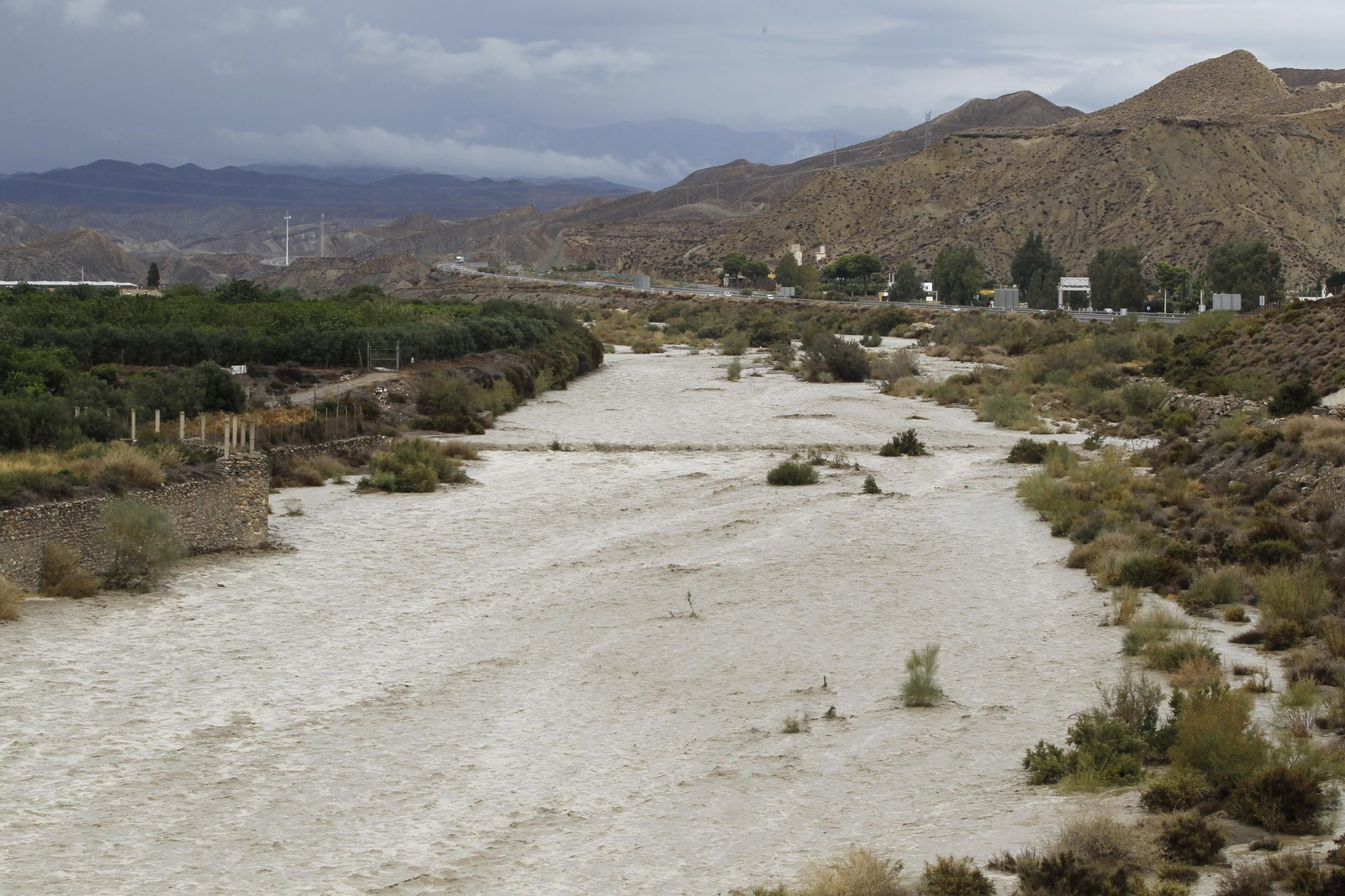 Un intenso caudal de agua bajaba ayer a mediodía por la rambla de Tabernas, atravesando el desierto y en dirección a la costa almeriense a través del Bajo Andarax.