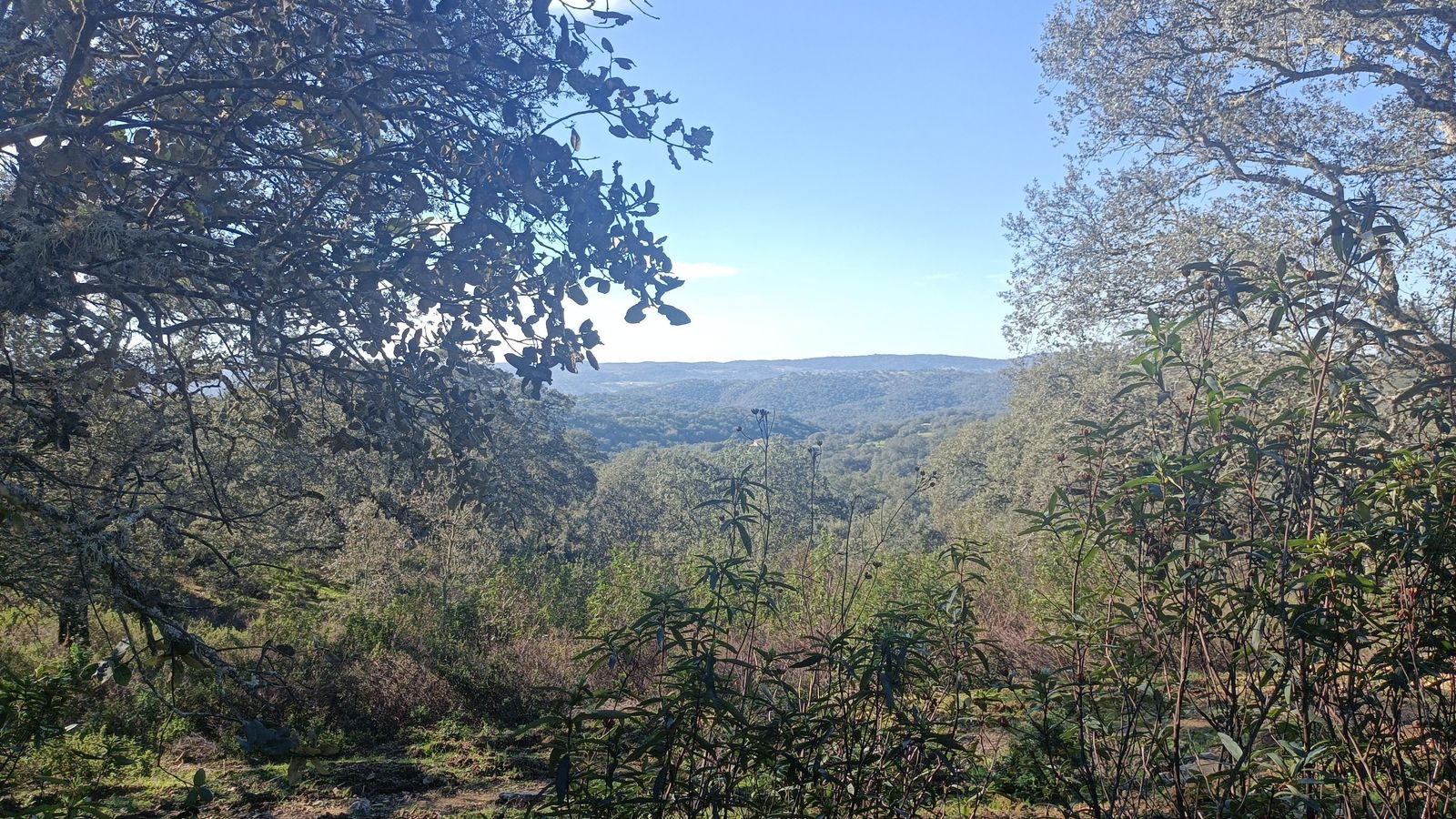 Vistas de la sierra tras uno de los ascensos.