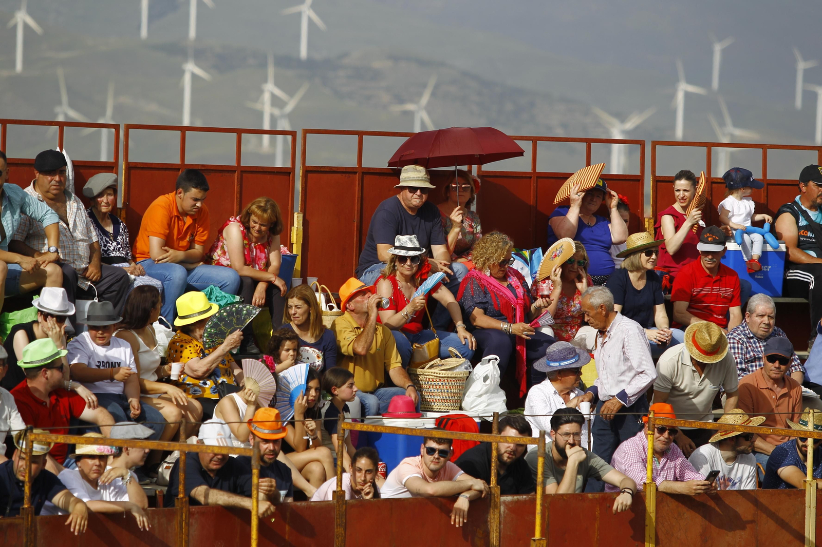Imágenes de la corrida de toros en las Fiestas de Abrucena.
