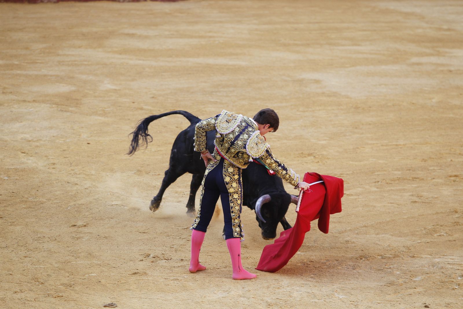 Fotogalería novillada Escuela Taurina de Almería. Feria de Almería 2019