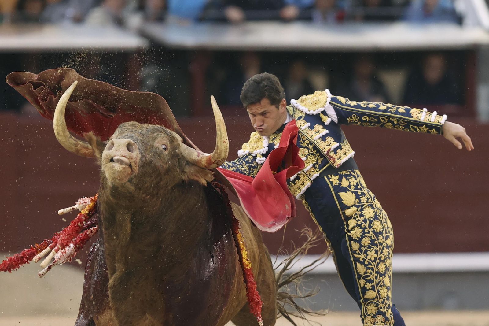 Daniel Luque reafirmó en Las Ventas su condición de figura y aquí le da un monumental pase de pecho a su segundo toro, de nombre ‘Mimoso’.