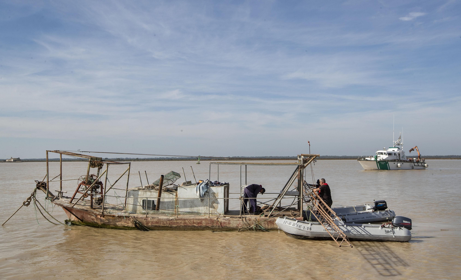 Operación Ave  fenix contra la pesca  de la angula