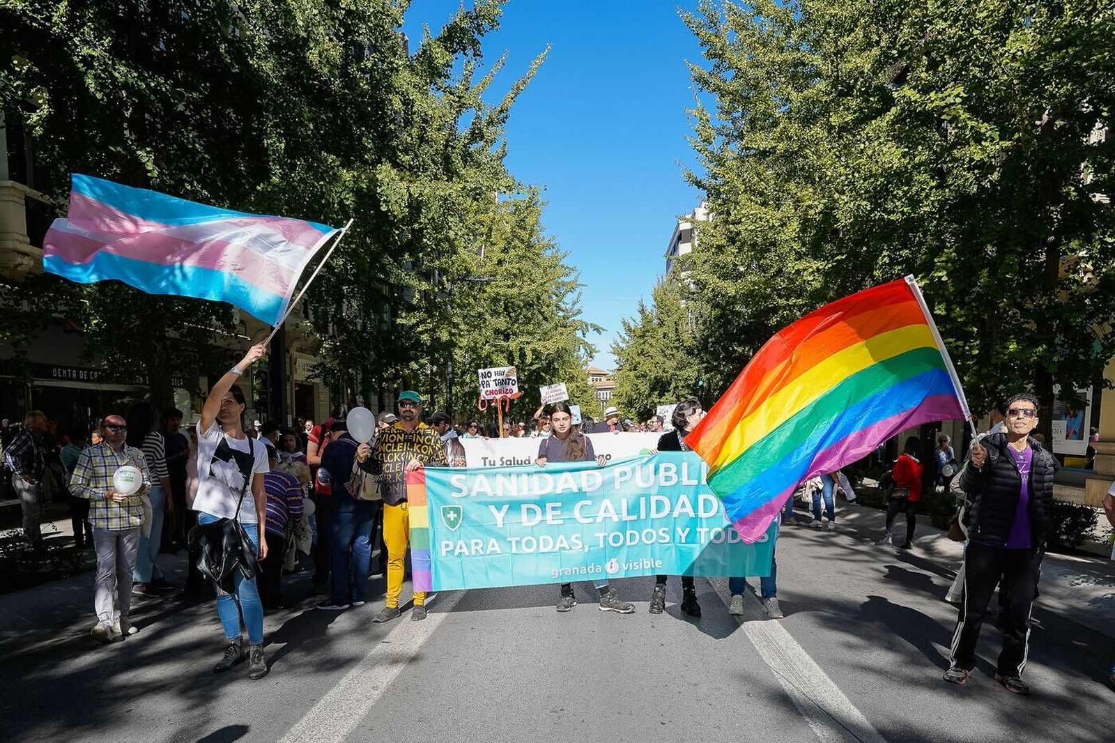 Así ha sido la manifestación en defensa de la sanidad pública en Granada
