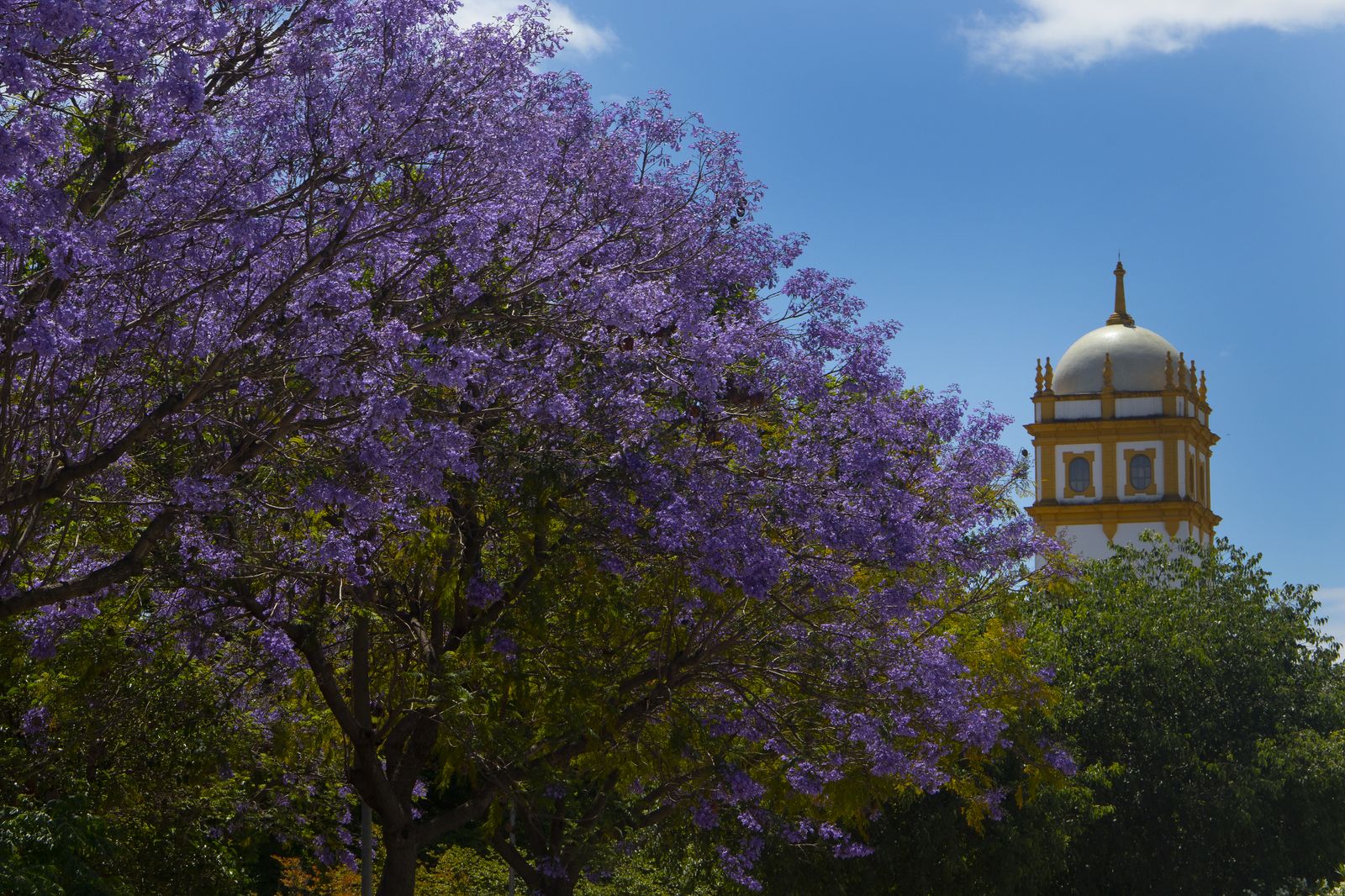 El color morado reina en Sevilla