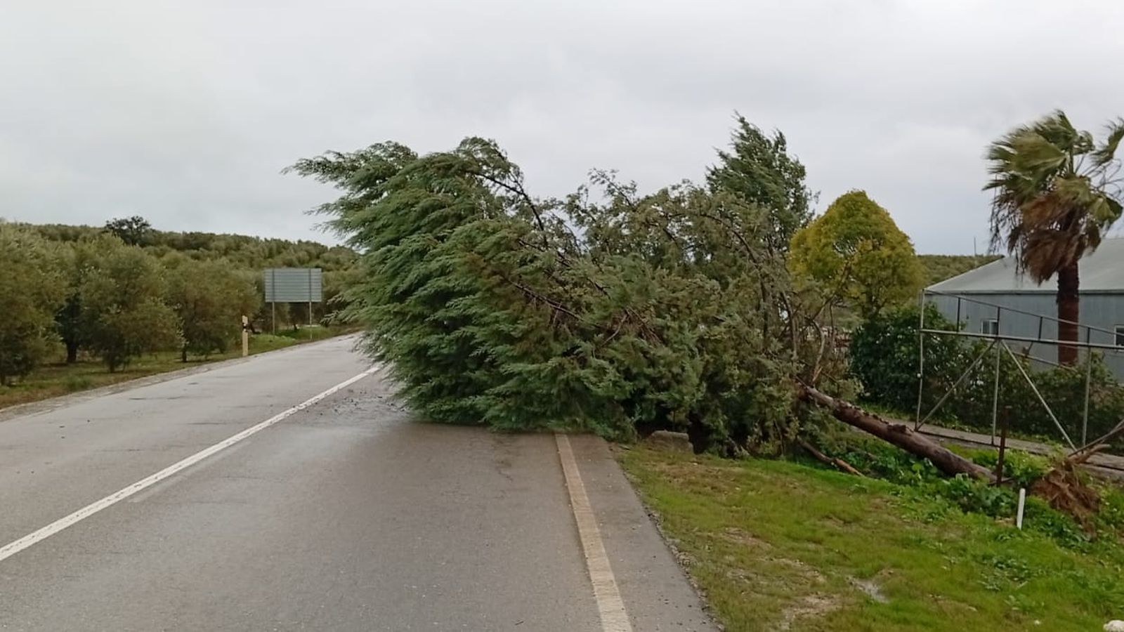 Carretera Cortada antigua C-336 en Monturque.