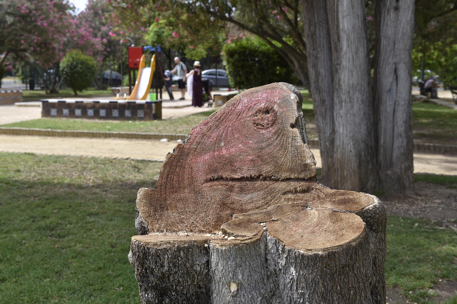 El estado de los Jardines de Murillo, en imágenes