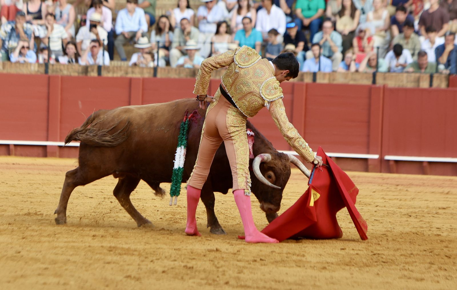 Novillada El Melli, Aarón Palacios y Manuel Jesús  Carrión