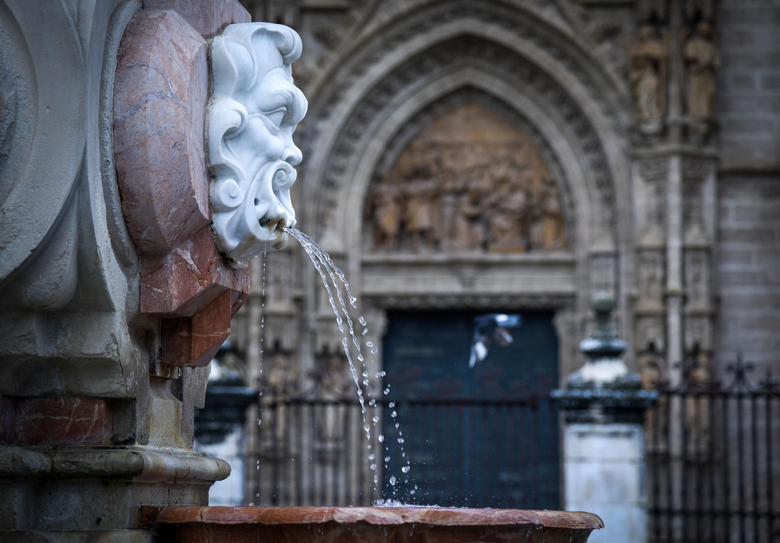 Fuente a pleno rendimiento en el día de ayer.