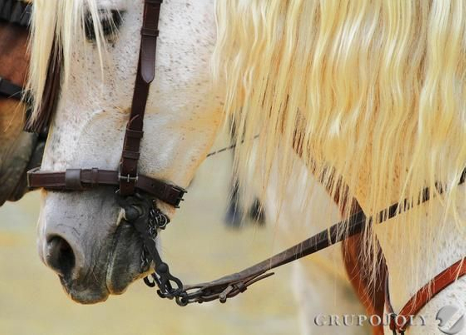 Foto: Victoria Hidalgo