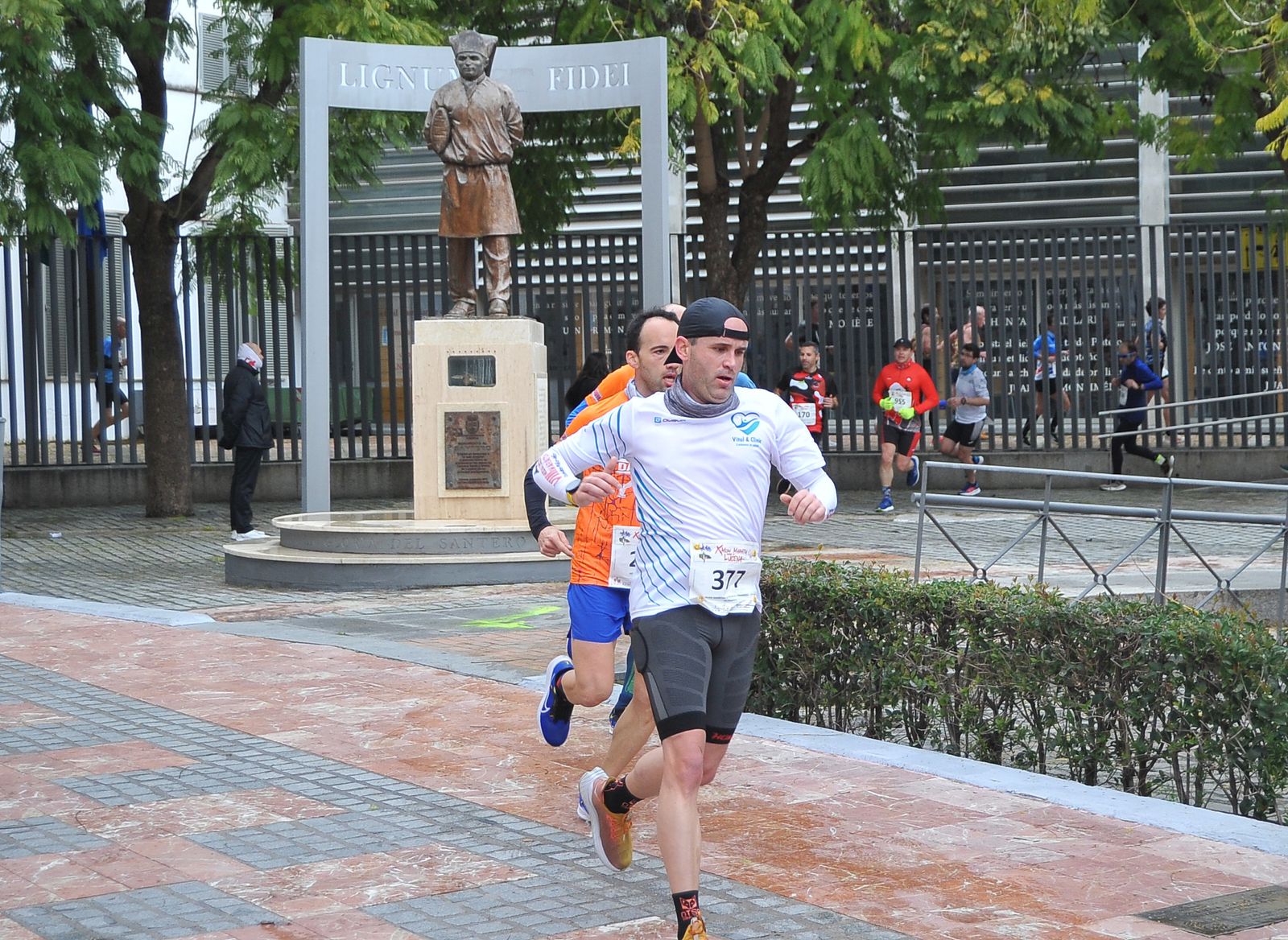 Las mejores fotos de la X Media Maratón Ciudad de Lucena