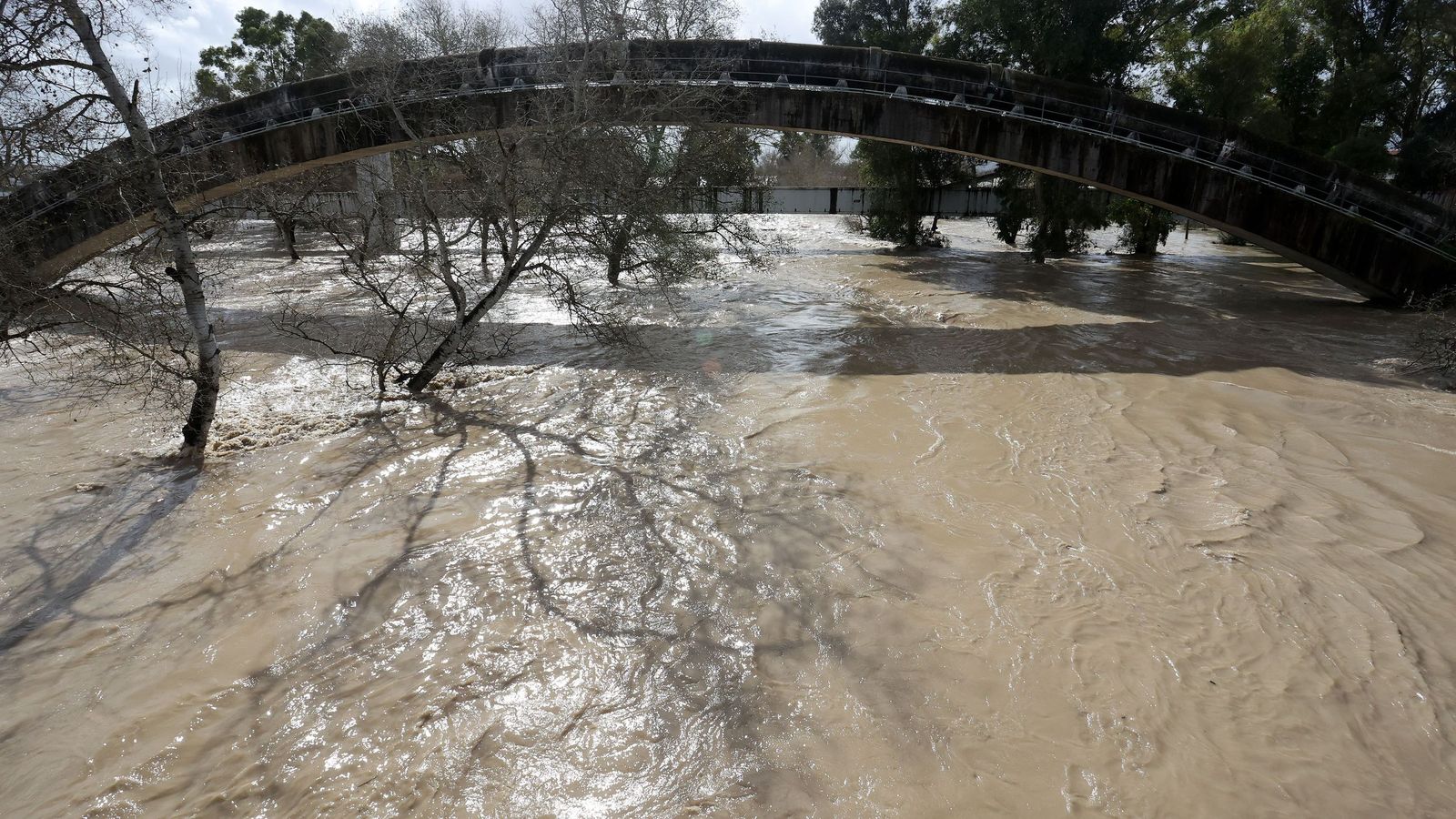 Así afronta la zona rural de Jerez la subida del río Guadalete